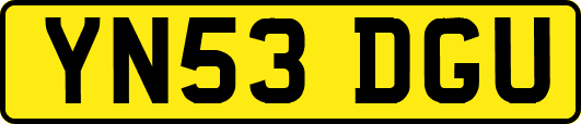 YN53DGU