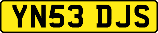 YN53DJS