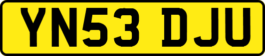YN53DJU