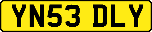 YN53DLY