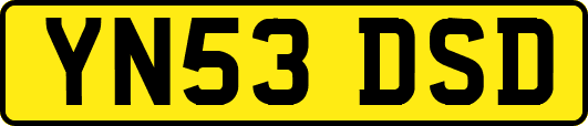 YN53DSD