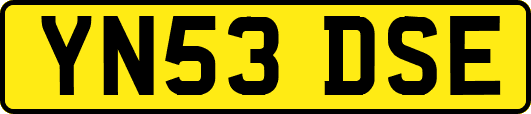 YN53DSE
