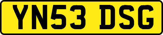 YN53DSG