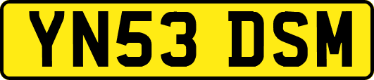 YN53DSM