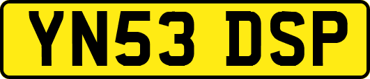 YN53DSP