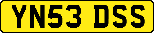 YN53DSS