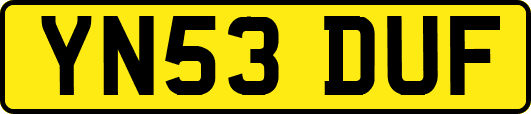 YN53DUF