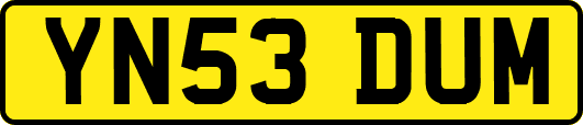YN53DUM