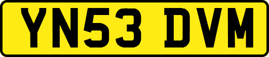 YN53DVM