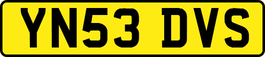 YN53DVS