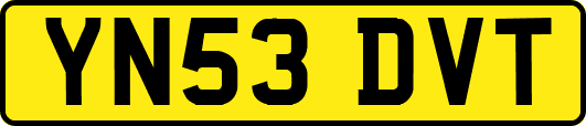 YN53DVT