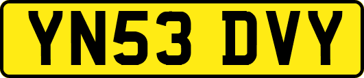 YN53DVY