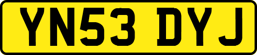 YN53DYJ