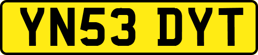 YN53DYT