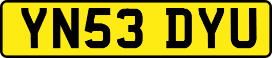 YN53DYU