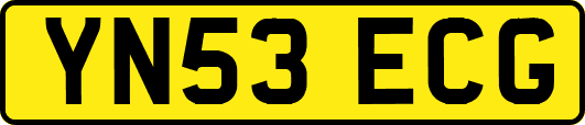 YN53ECG