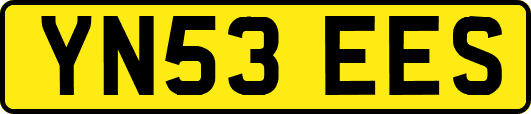 YN53EES