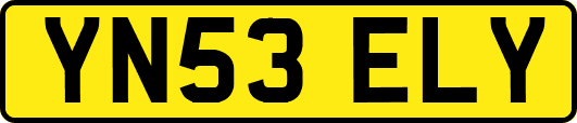 YN53ELY