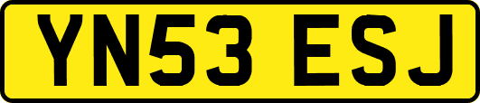 YN53ESJ