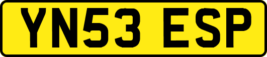 YN53ESP