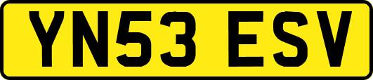 YN53ESV