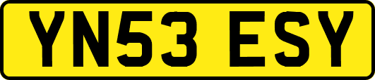 YN53ESY