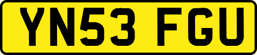 YN53FGU