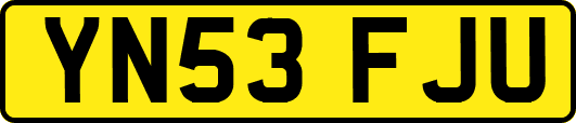 YN53FJU