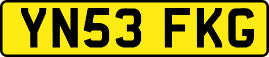 YN53FKG