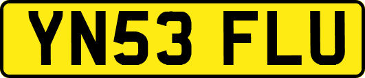 YN53FLU
