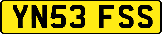 YN53FSS