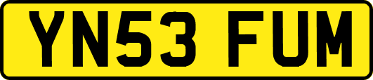 YN53FUM