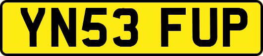 YN53FUP