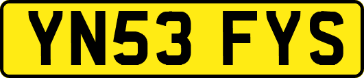 YN53FYS