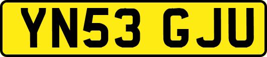 YN53GJU