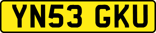 YN53GKU