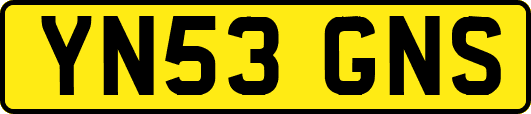 YN53GNS