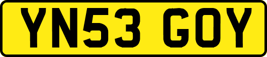 YN53GOY
