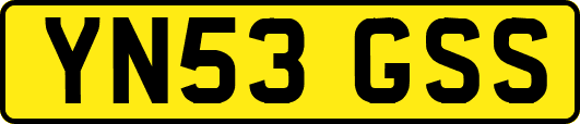 YN53GSS