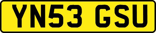 YN53GSU