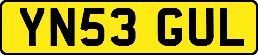 YN53GUL