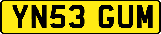 YN53GUM