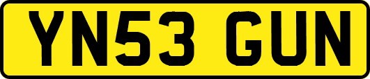 YN53GUN