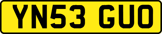 YN53GUO