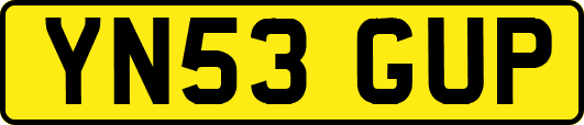 YN53GUP