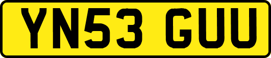 YN53GUU