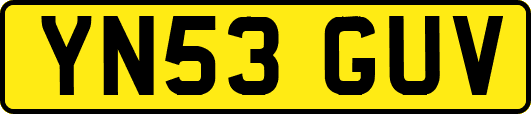 YN53GUV