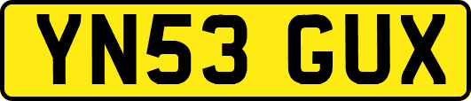 YN53GUX
