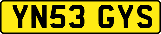 YN53GYS