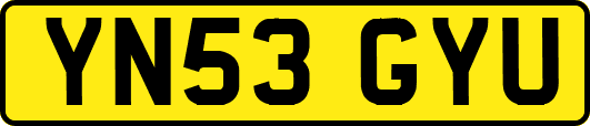 YN53GYU